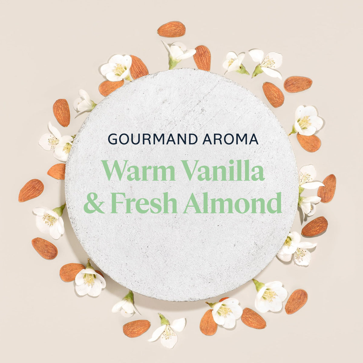 L'OCCITANE Almond Body Oil, Moisturizes, Nourishes, Hydrates, Softens Dry Skin, Absorbs Fast, Lightweight, Non-Greasy, Luxurious Post-Shower Skincare